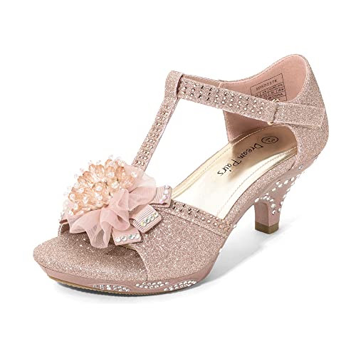 Girls Sandals Low Heel Dress Pump Ankle T Strap Flower Shoes Toddler/Little Kid/Big Kid