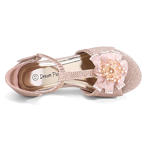 Girls Sandals Low Heel Dress Pump Ankle T Strap Flower Shoes Toddler/Little Kid/Big Kid