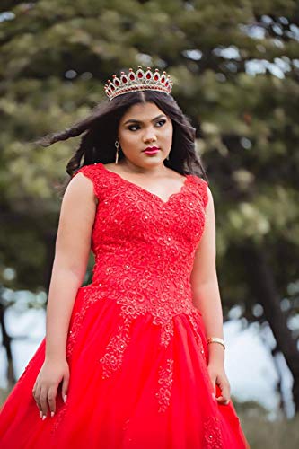 Ball Gown Quinceanera Dresses Sweet 16 Prom Party Princess Dress for Teens