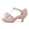 Girls Sandals Low Heel Dress Pump Ankle T Strap Flower Shoes Toddler/Little Kid/Big Kid