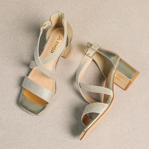 Women's 2.5 Inch Low Heel Ankle Strap Dressy Sandals 301