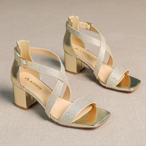 Women's 2.5 Inch Low Heel Ankle Strap Dressy Sandals 301